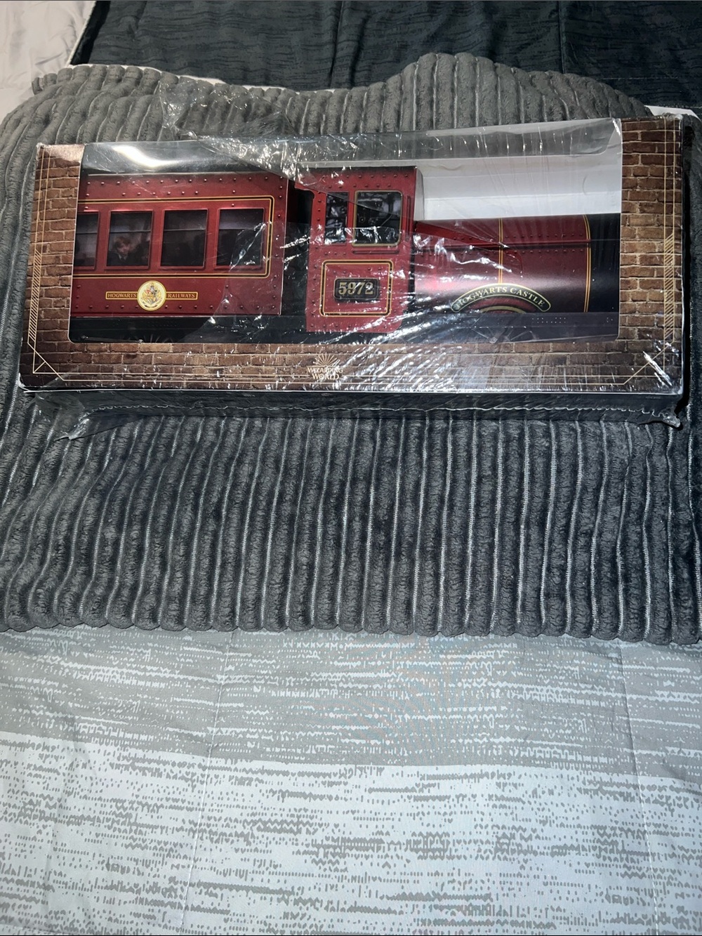 Harry Potter Sorcerer’s stone 20th anniversary set